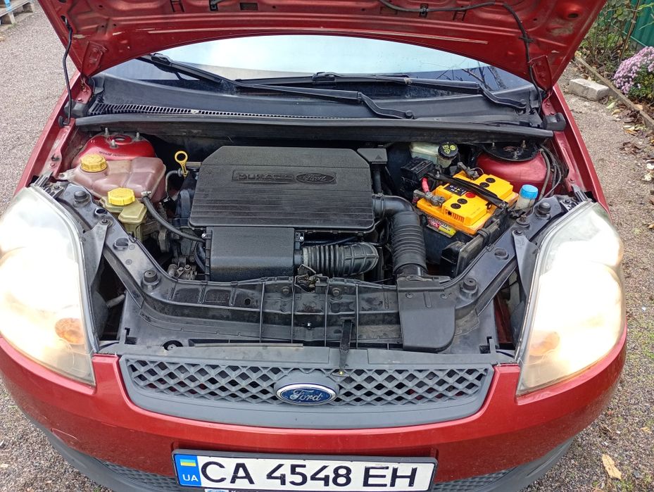 Форд Фієста в рідній фарбі