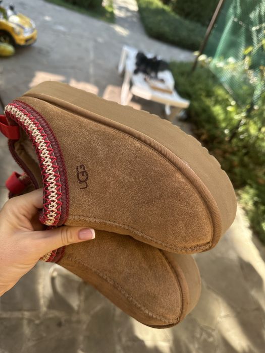 Замшеві сапожки UGG Tazz II Оригінал