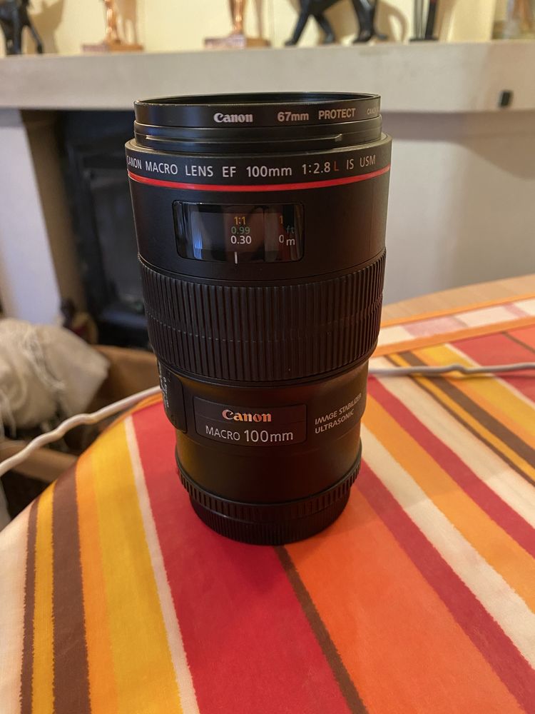 Canon EF 100mm f/2.8 Macro IS USM