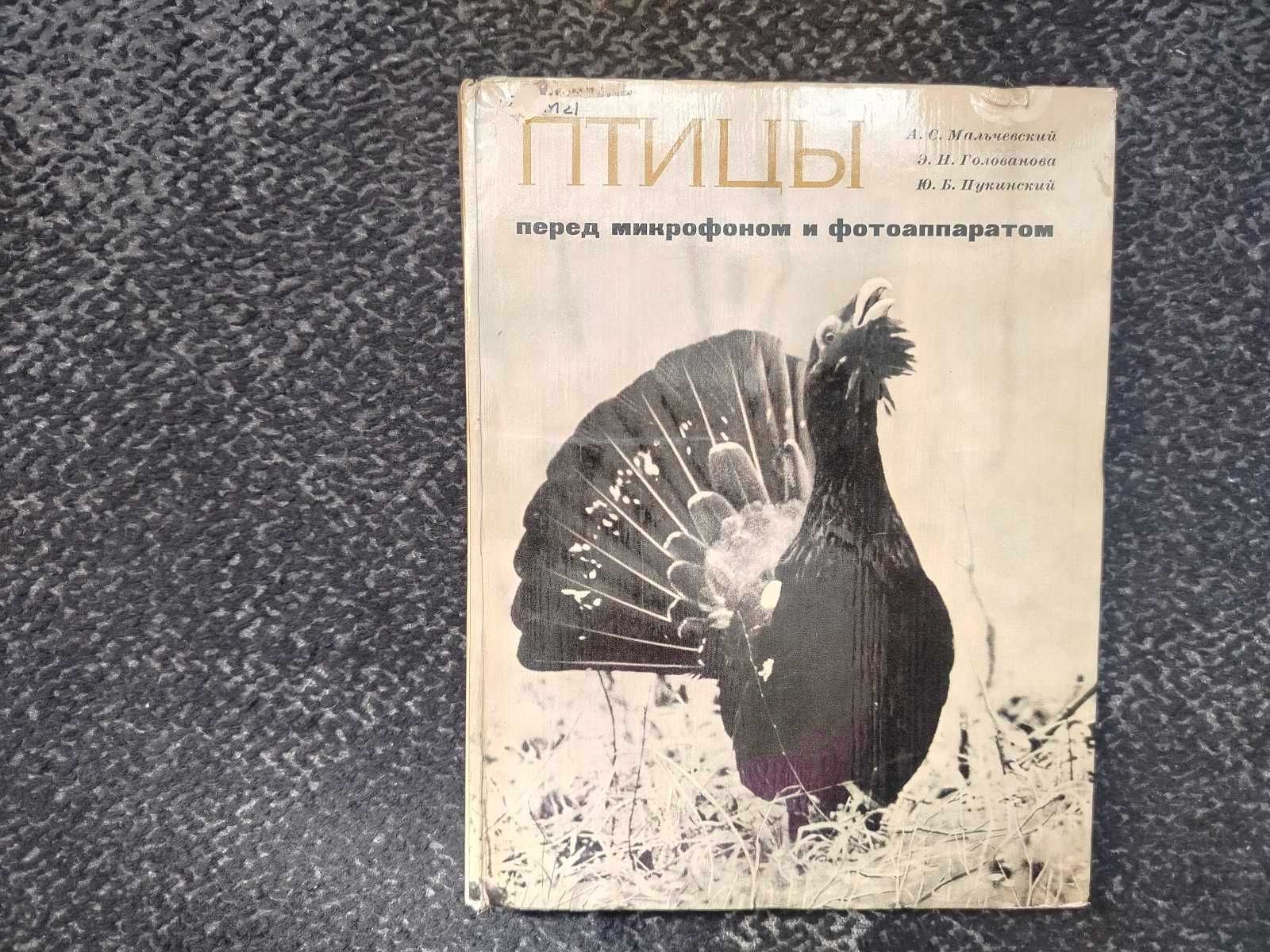 А.Мальчевский и др. Птицы перед микрофоном и фотоаппаратом. 1972г