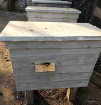 Продам бджолосім"ї, здорові і міцні