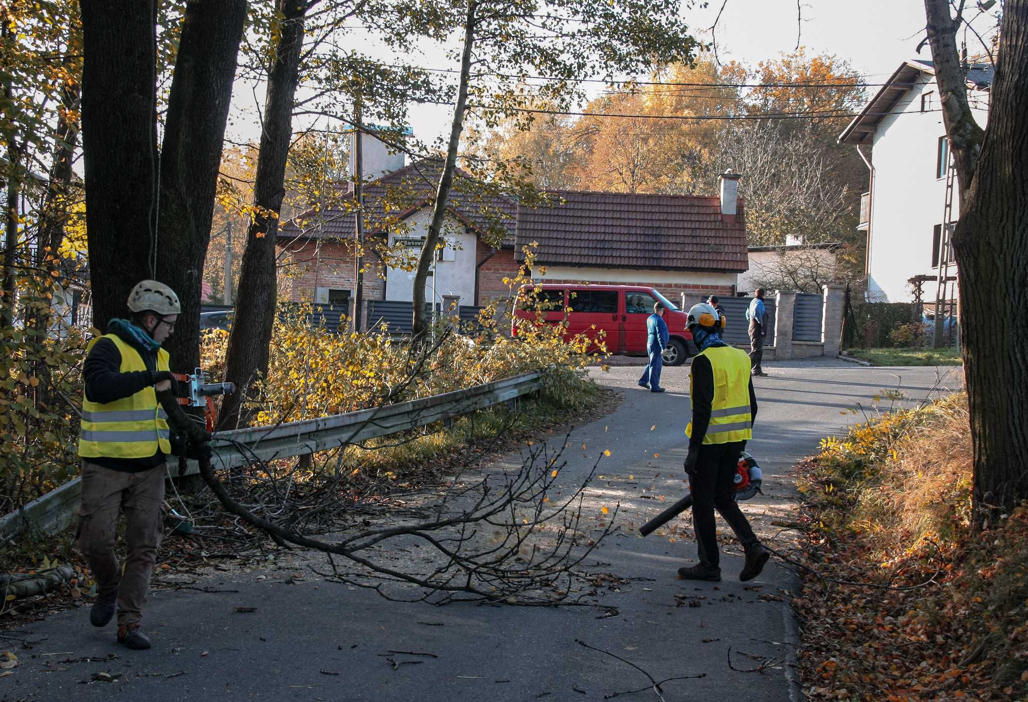 WYCINKA I PIELĘGNACJA DRZEW - przycinanie, wycinanie, alpinistyczne