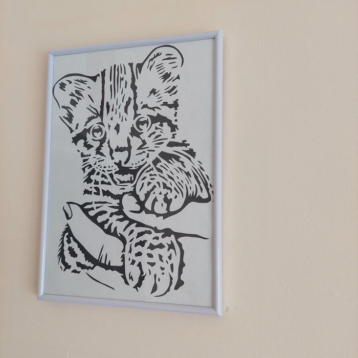 Obrazy w antyramkach KOTY