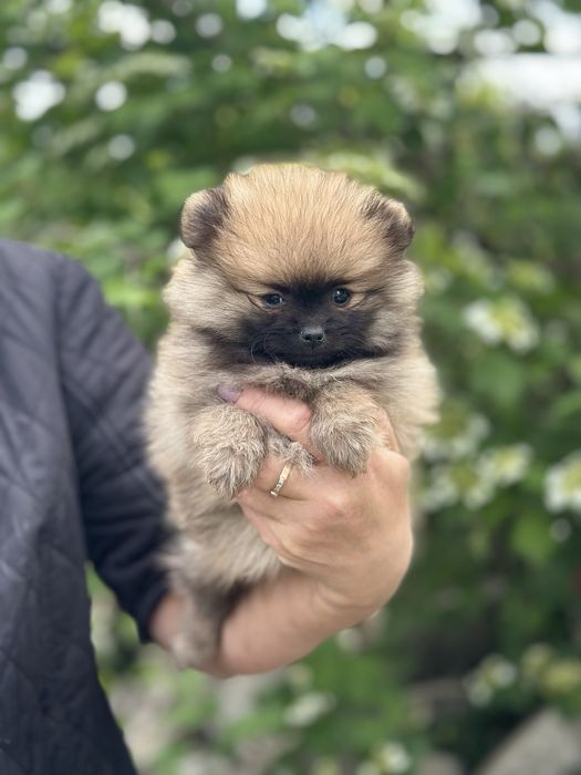 Гарний хлопчик  мішка