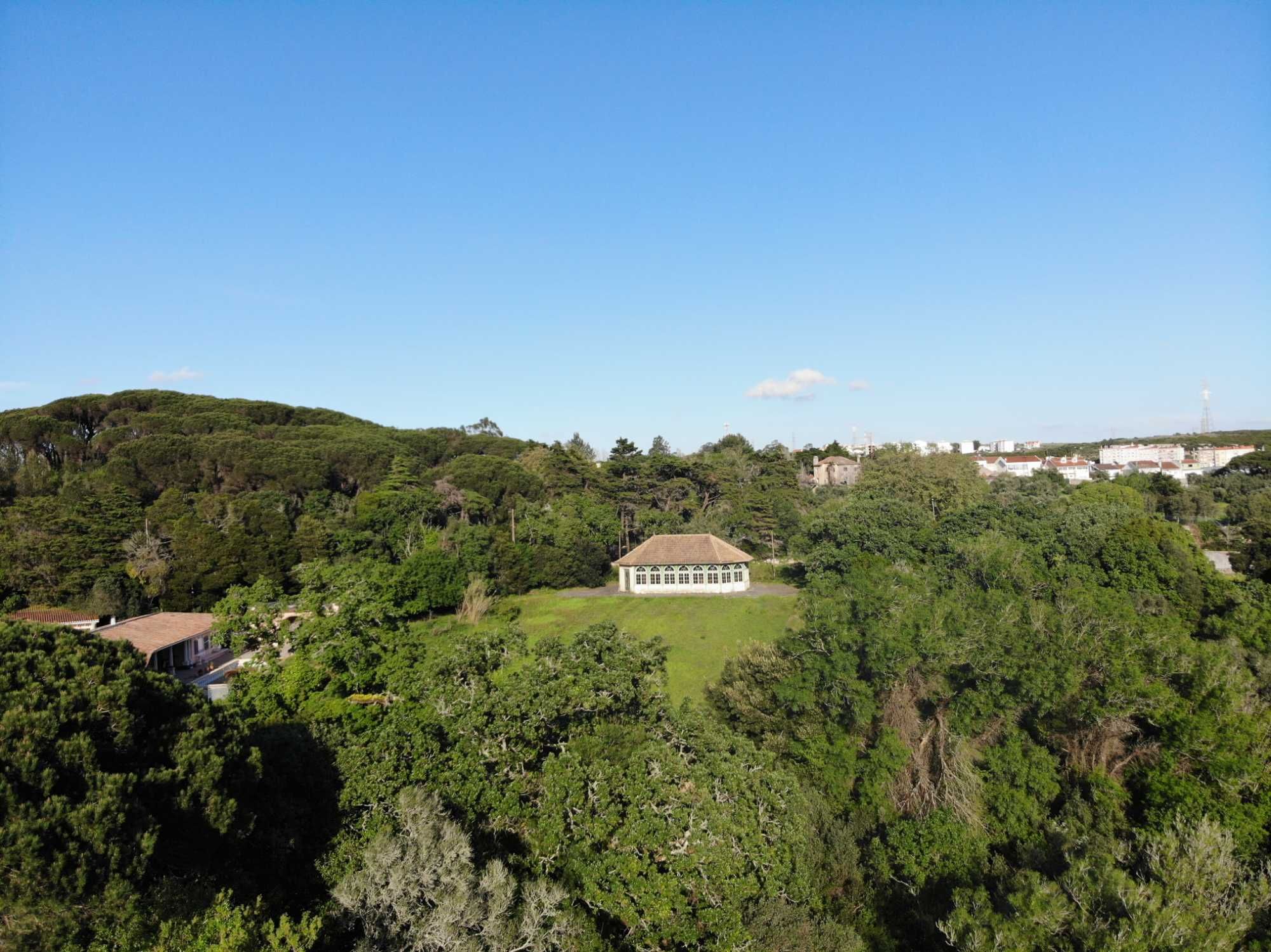 Drone DJI Mavic Air