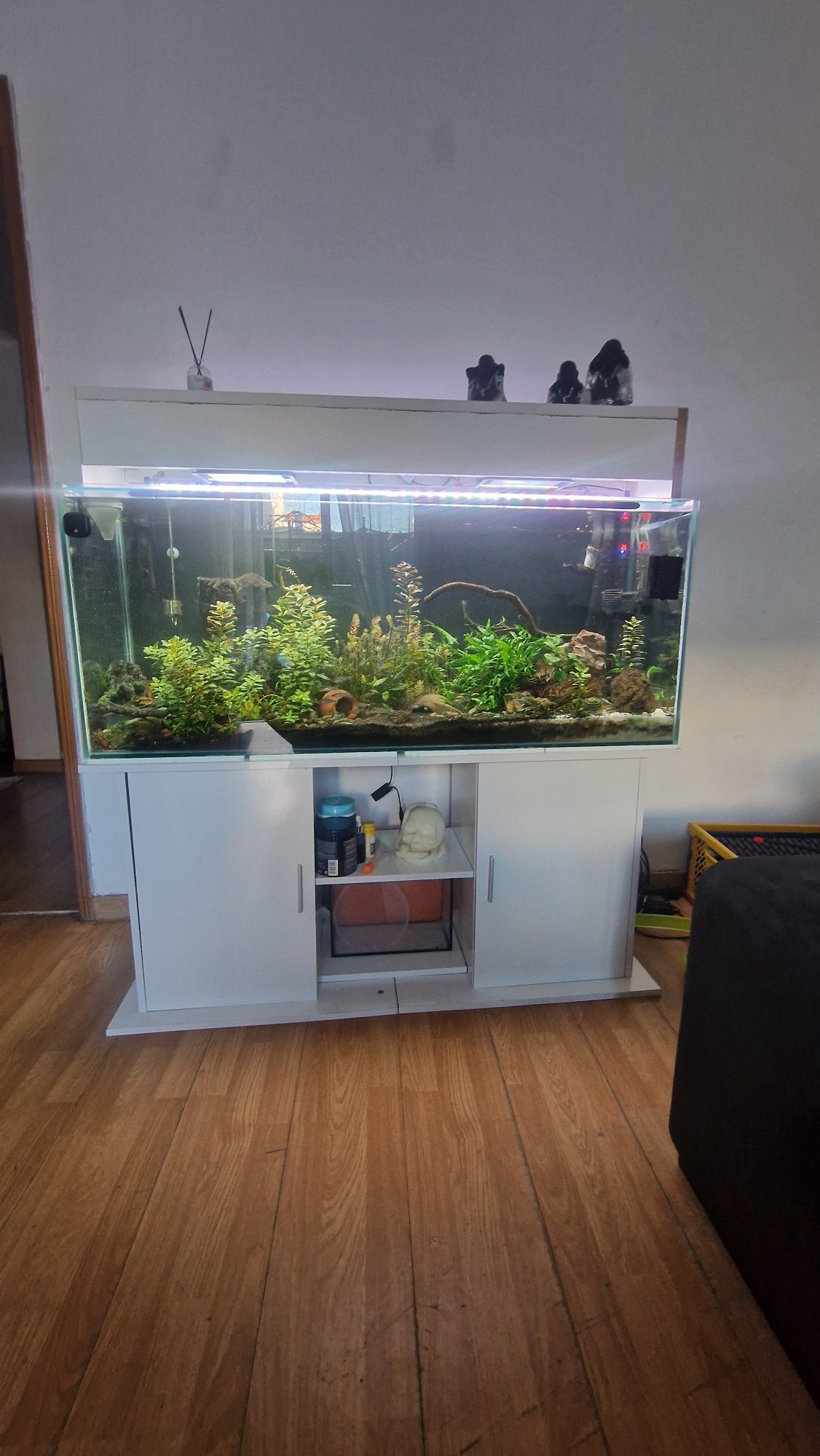 vendo aquario + movel e luzes