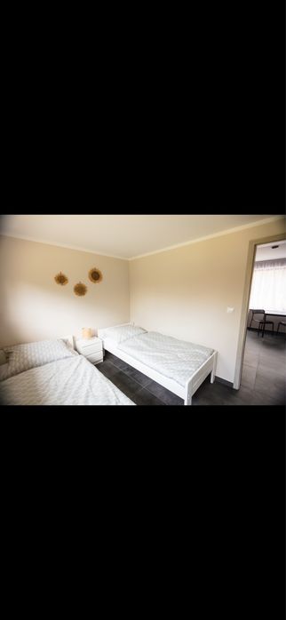 Domki Letniskowe nad Jeziorem Borek