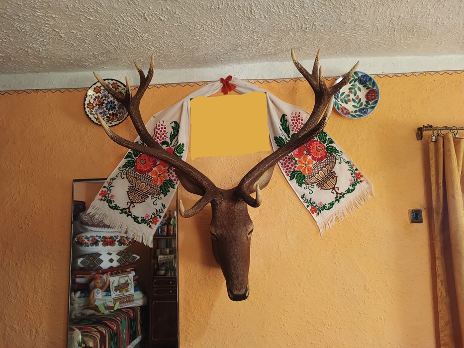 Роги оленя з підставкою