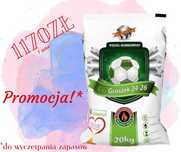 Promocja węgiel groszek ZENMAR