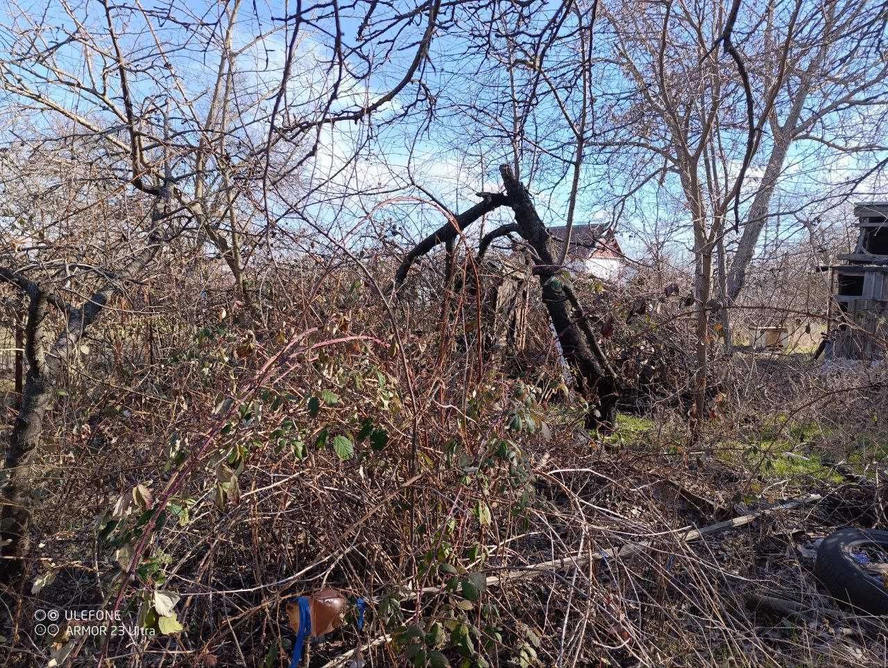Продается дача Центрально-городской район (район Молокозавода)
