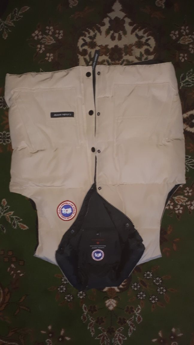 Bezrękawnik canada goose  l