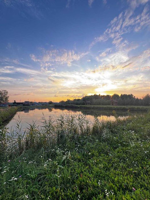 Продаж земельної ділянки з озером у селі Мальованка, Городоцький район
