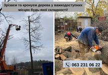 Видалення аварійних дерев, Спил частинами, Кронування, Обрізка гілок