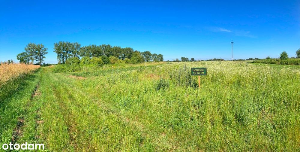 Działka nad SANEM w spokojnej okolicy SośnicaBrzeg