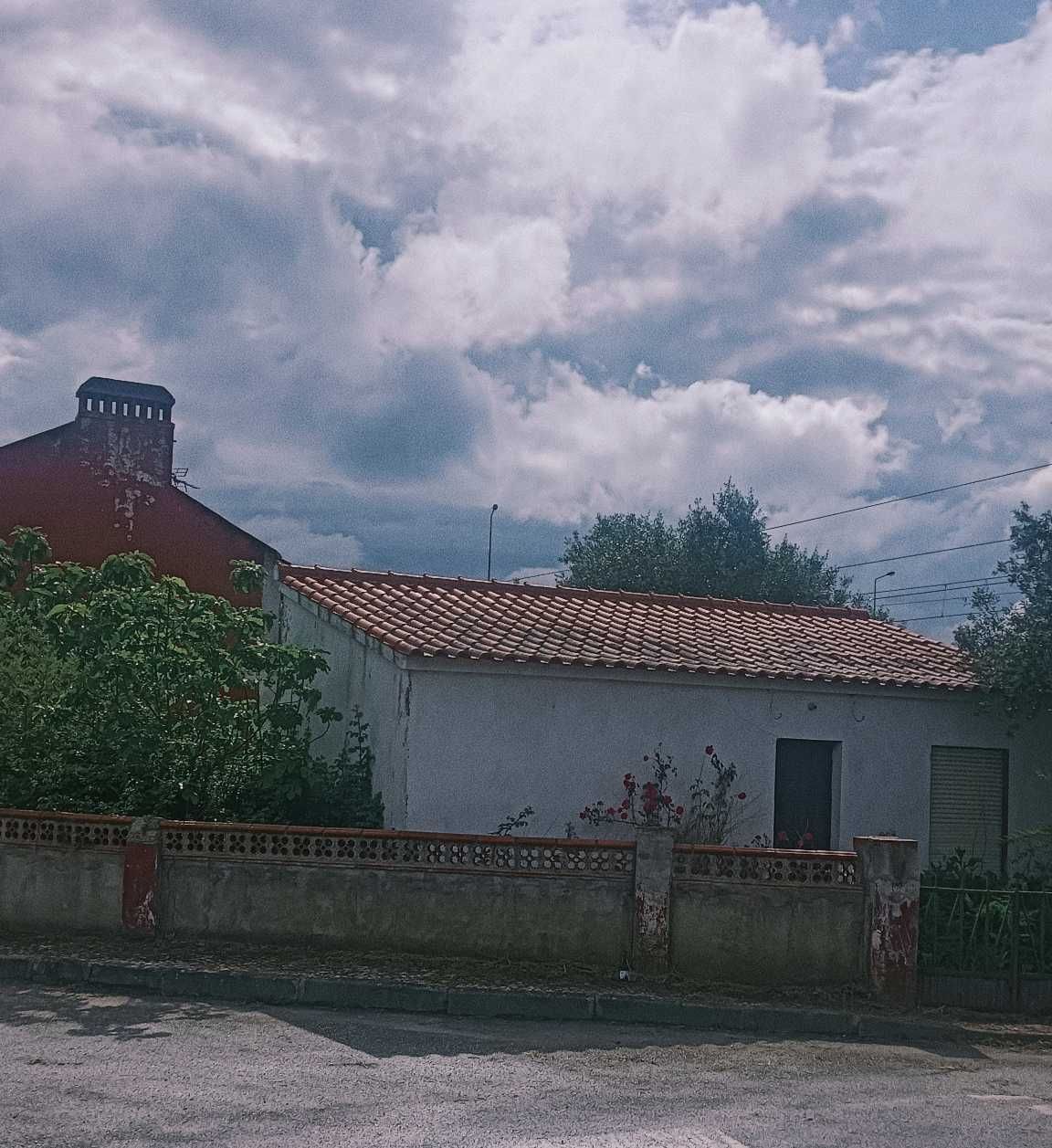 Casa tradicional com terreno com diversas árvores de fruto em S