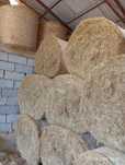 Sprzedam świeże siano, balot 130 cm