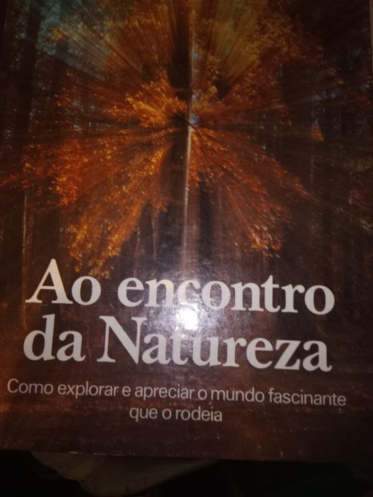 Varios Livros diferentes 2