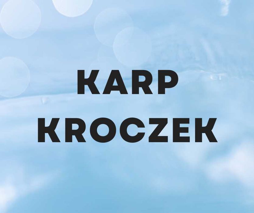 Karp kroczek zarybieniowy