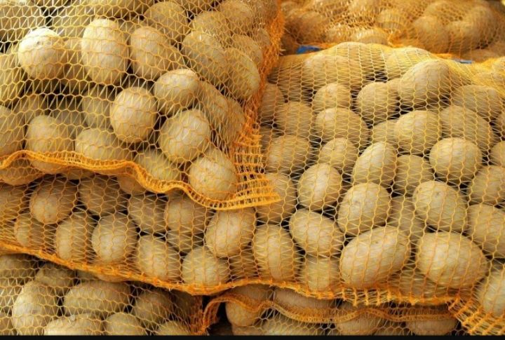 Ziemniaki jadalne Soraya Denar