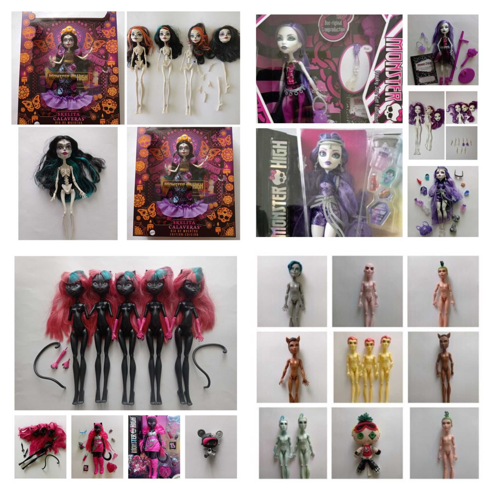 Кукла Монстер хай monster high питомец запчасти.