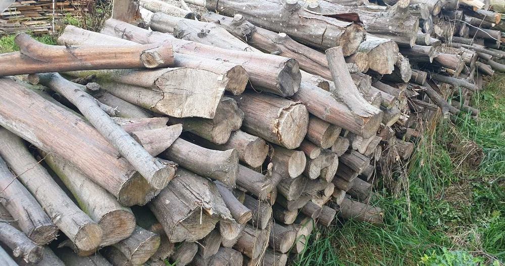 Dąb, grab i jesion sezonowany - drewno kominkowe, opałowe