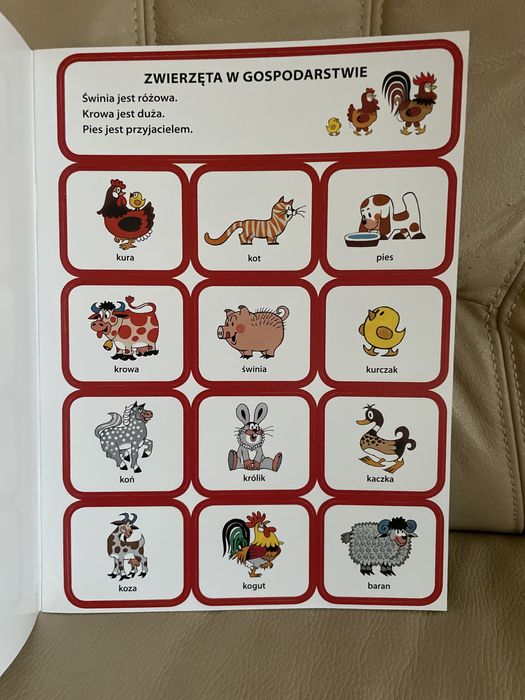 Obrazkowy angielski z krecikiem slownik karty edukacyjne Krecik