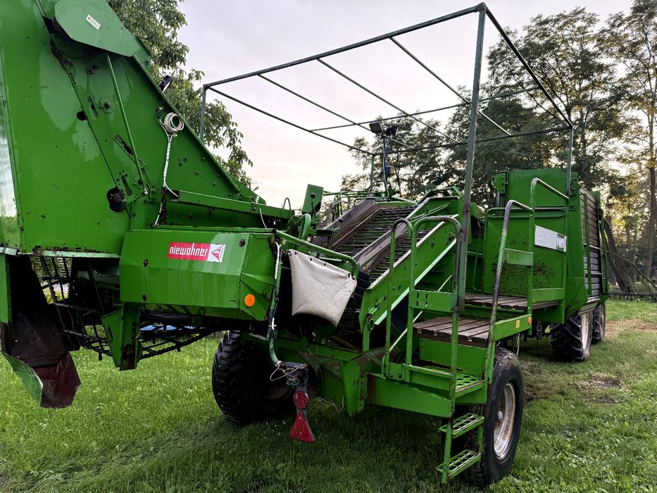 Kombajn do ziemniaków Wuhlmaus 1433 P Grimme bergmann anna