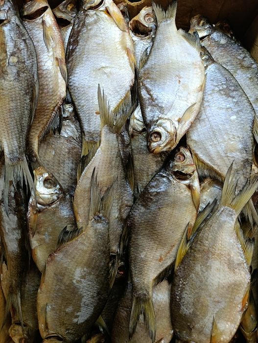 Густера вяленая Херсонская