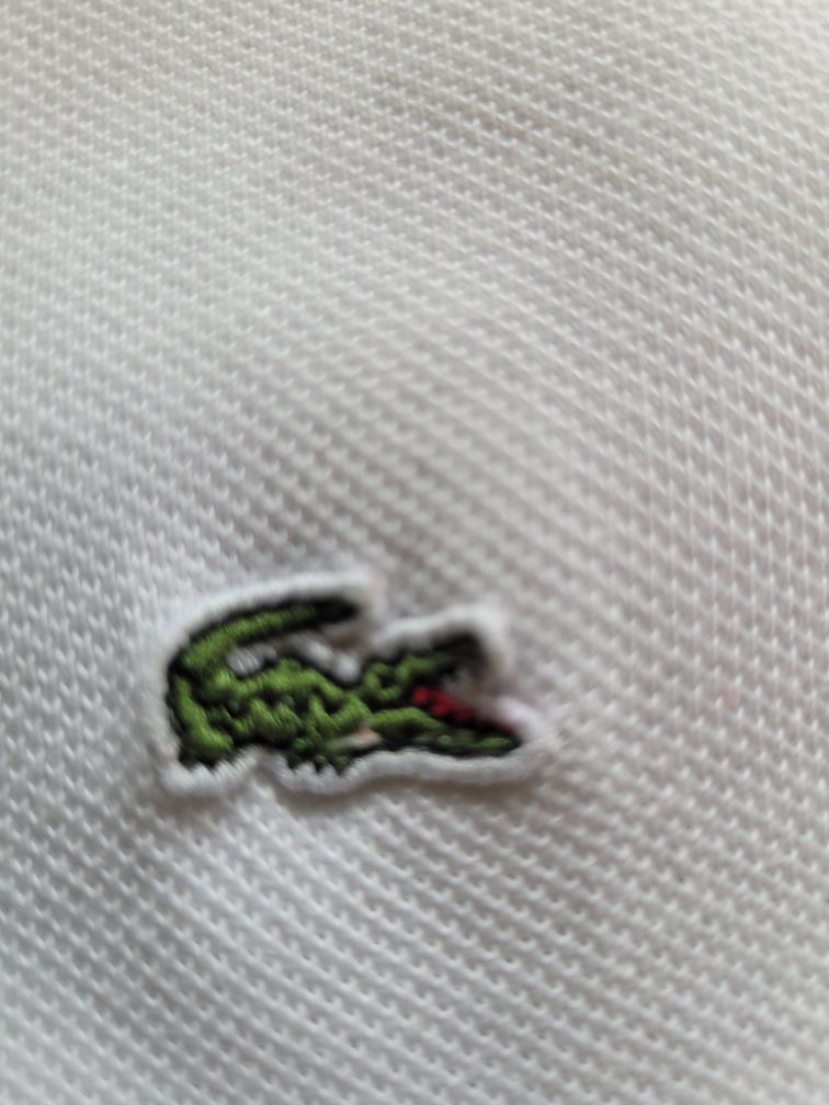 Lacoste polo męskie  L