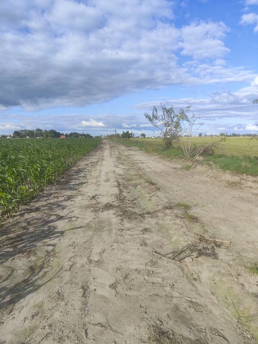 Działka rolna Osiek koło Brodnicy 80 arów