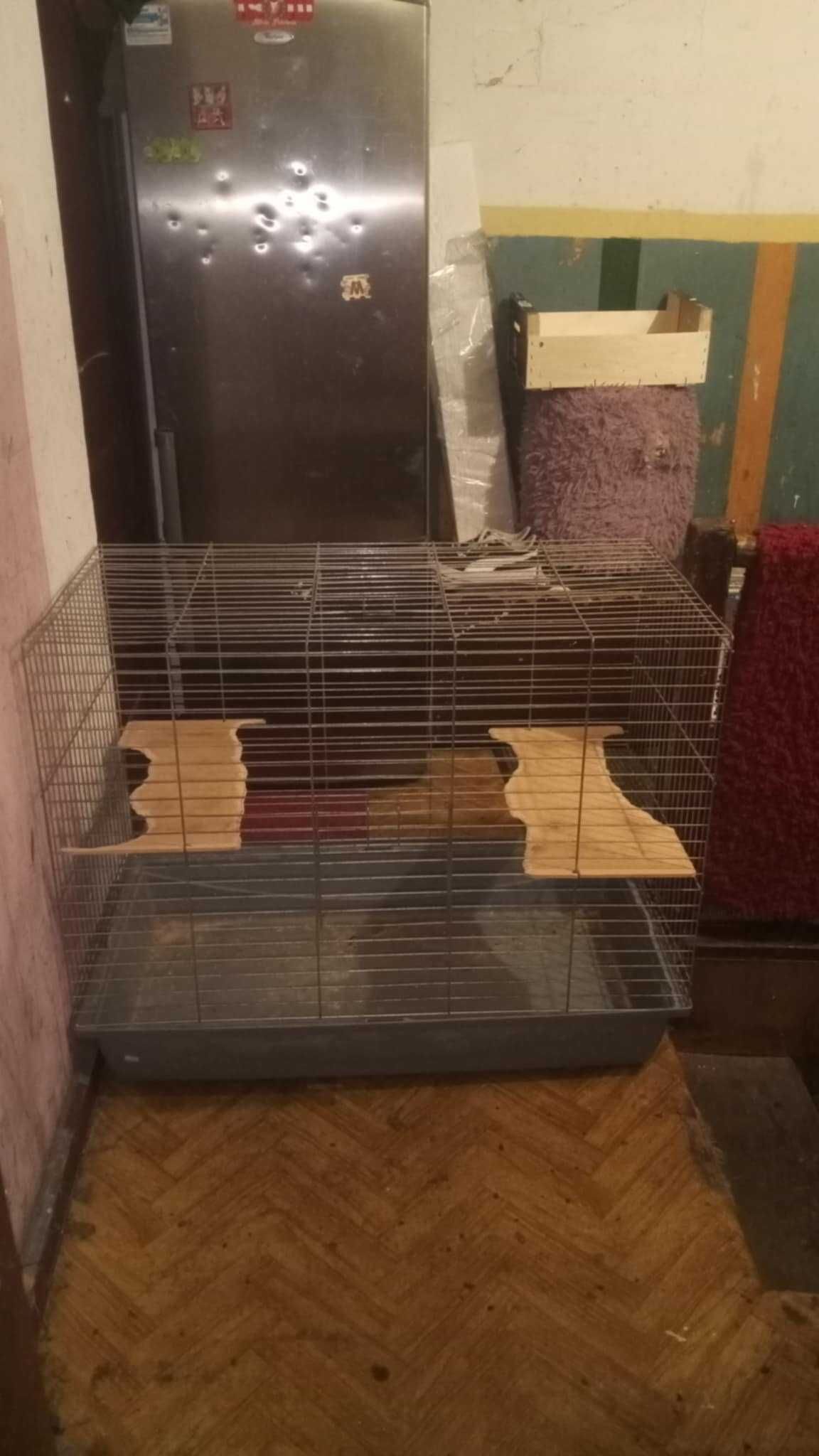 Duża Klatka Dla Szynszyli