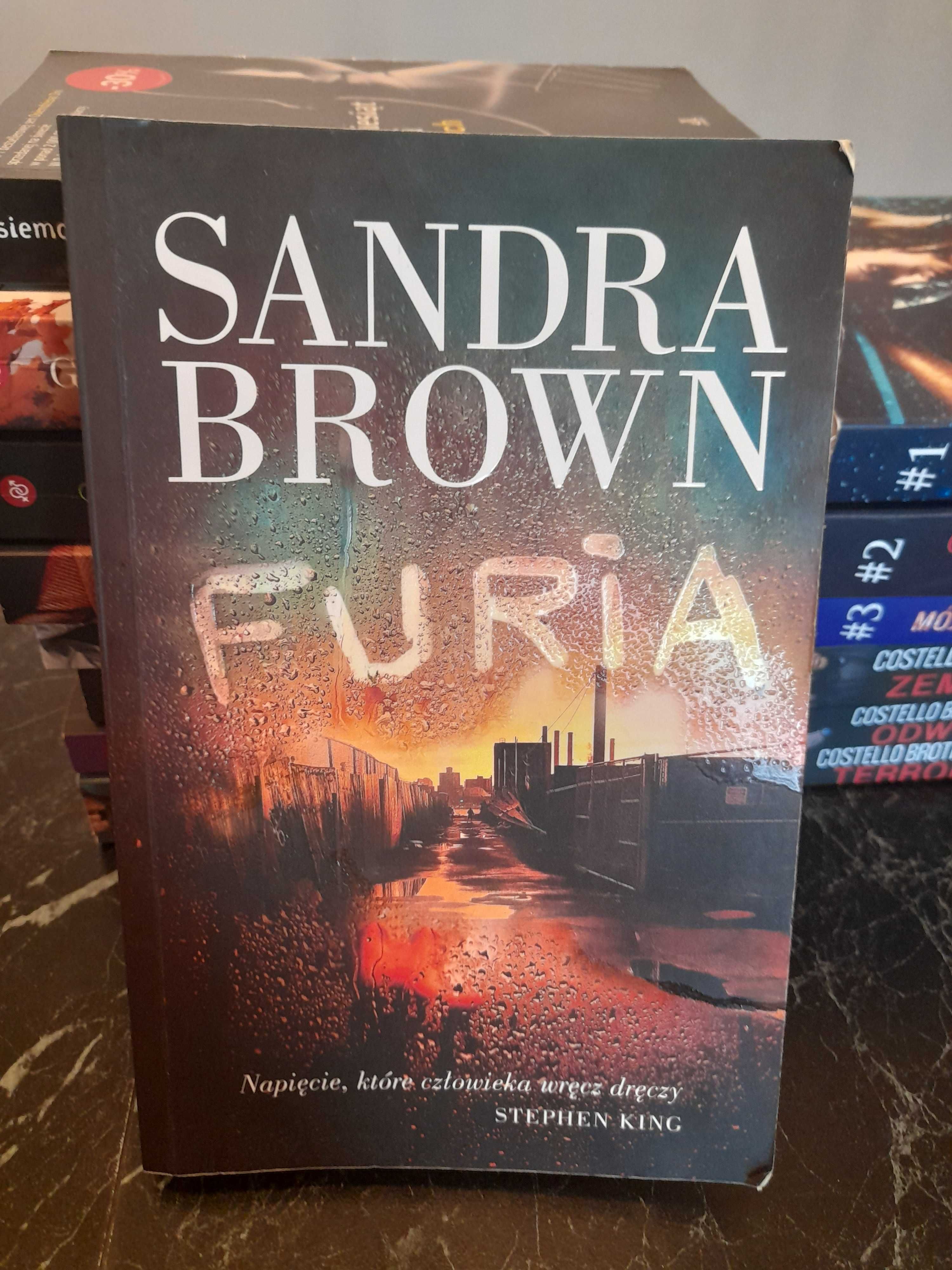 Sandra Brown - Furia