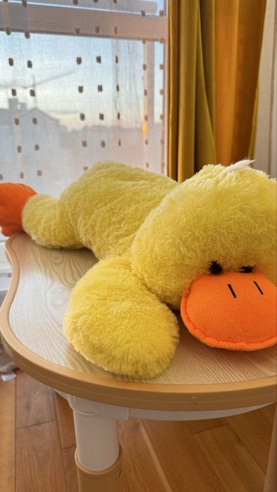 Maskotka duża pies, kaczka, miś