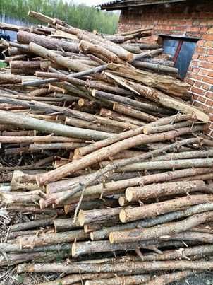 Drzewo na opał sosna