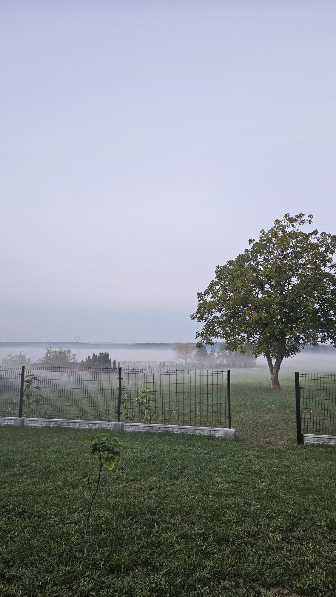 Dom na wynajem na doby Oaza spokoju Cmolas
