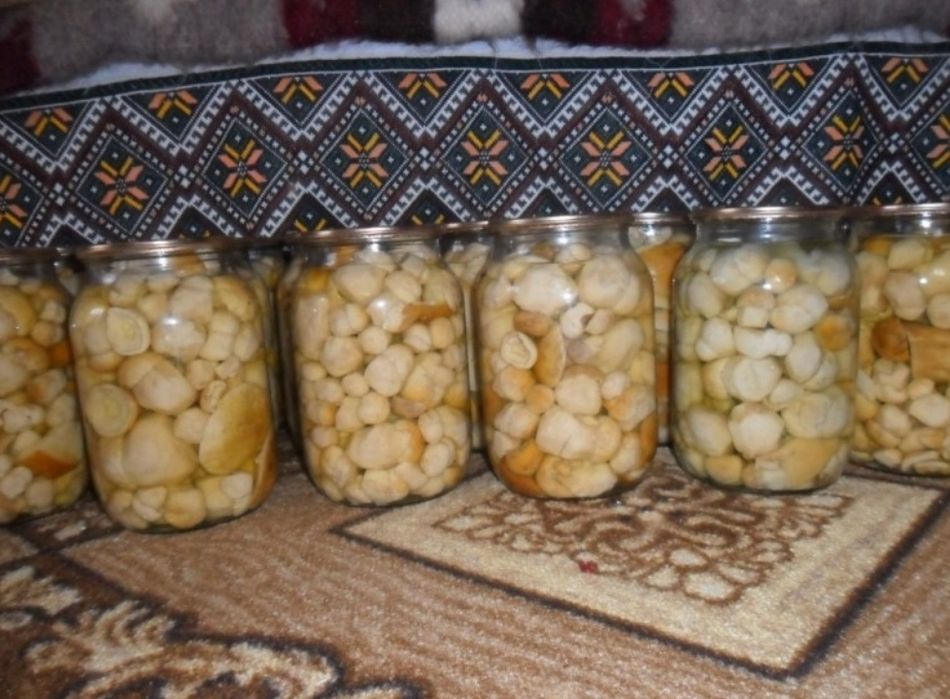 Мариновані білі гриби