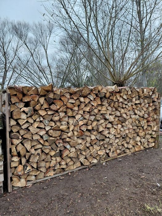 Drzewo opałowe  2,5 metra