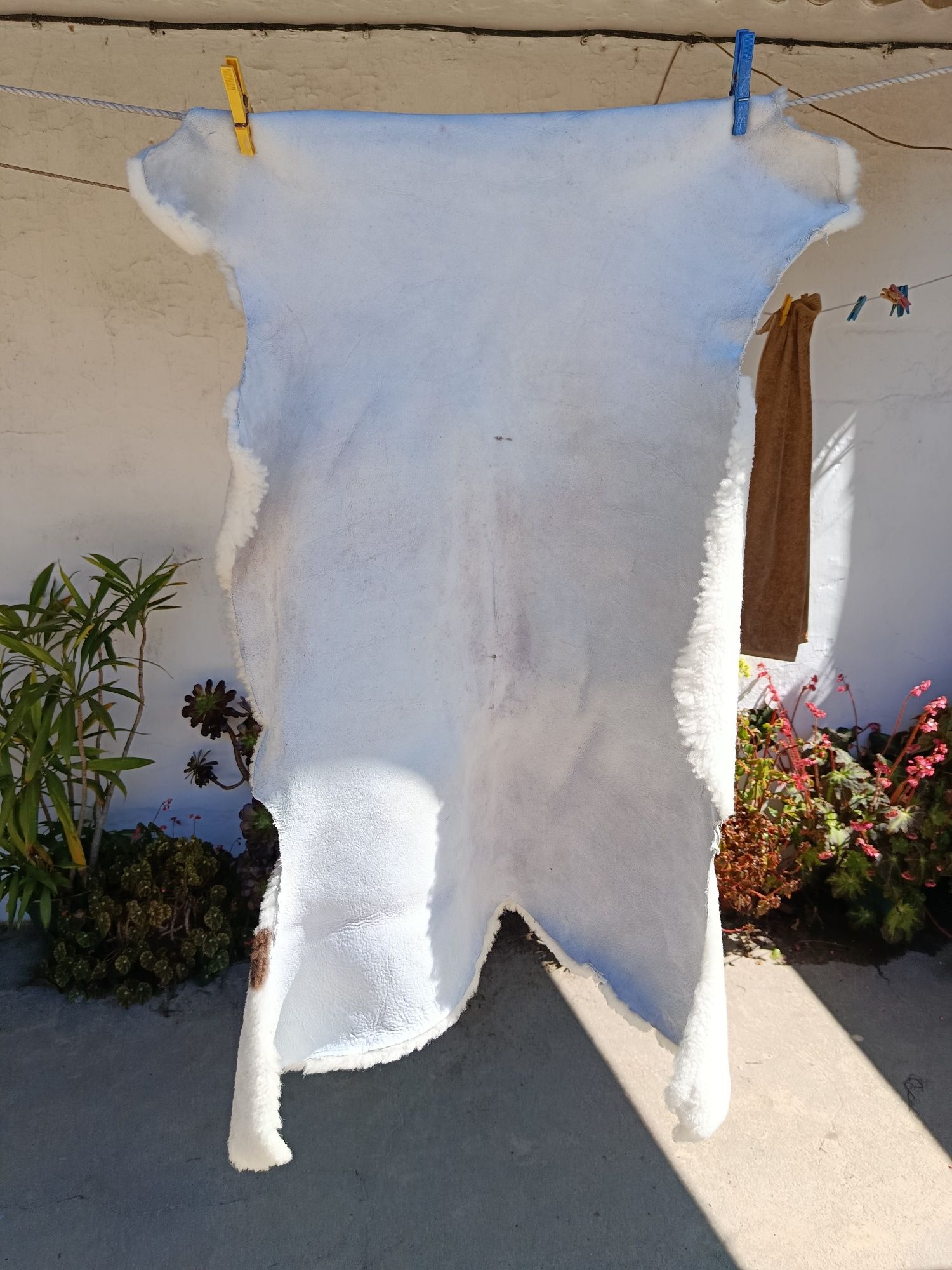 Vendo pele de borrego nova