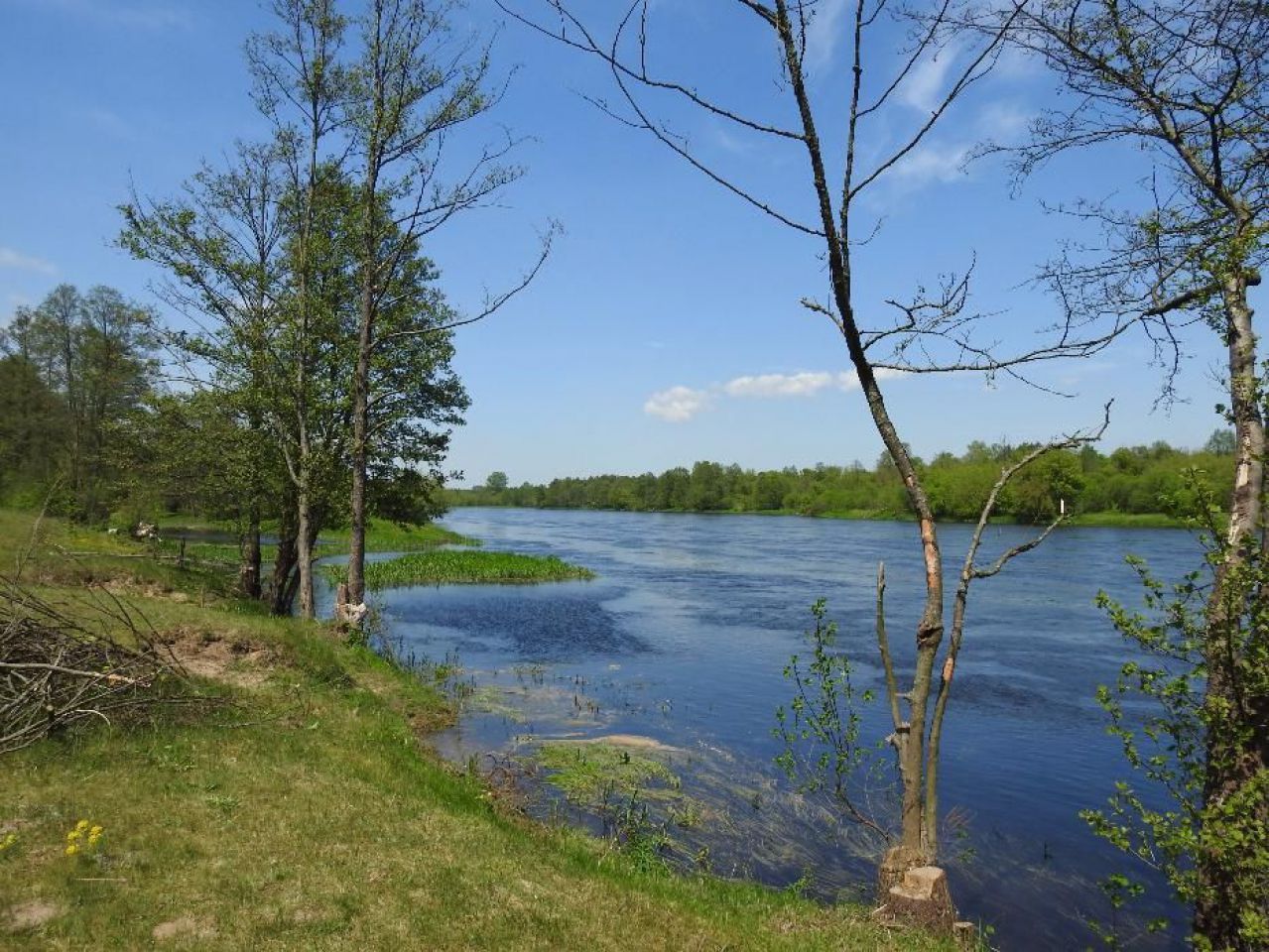 WYNAJEM domku Całorocznego