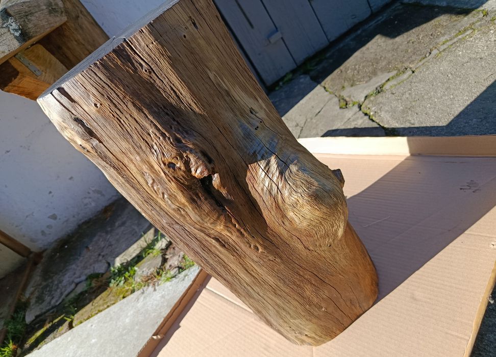 Stolik kawowy z pnia drzewa dębowego ,organiczny 240 PLN.