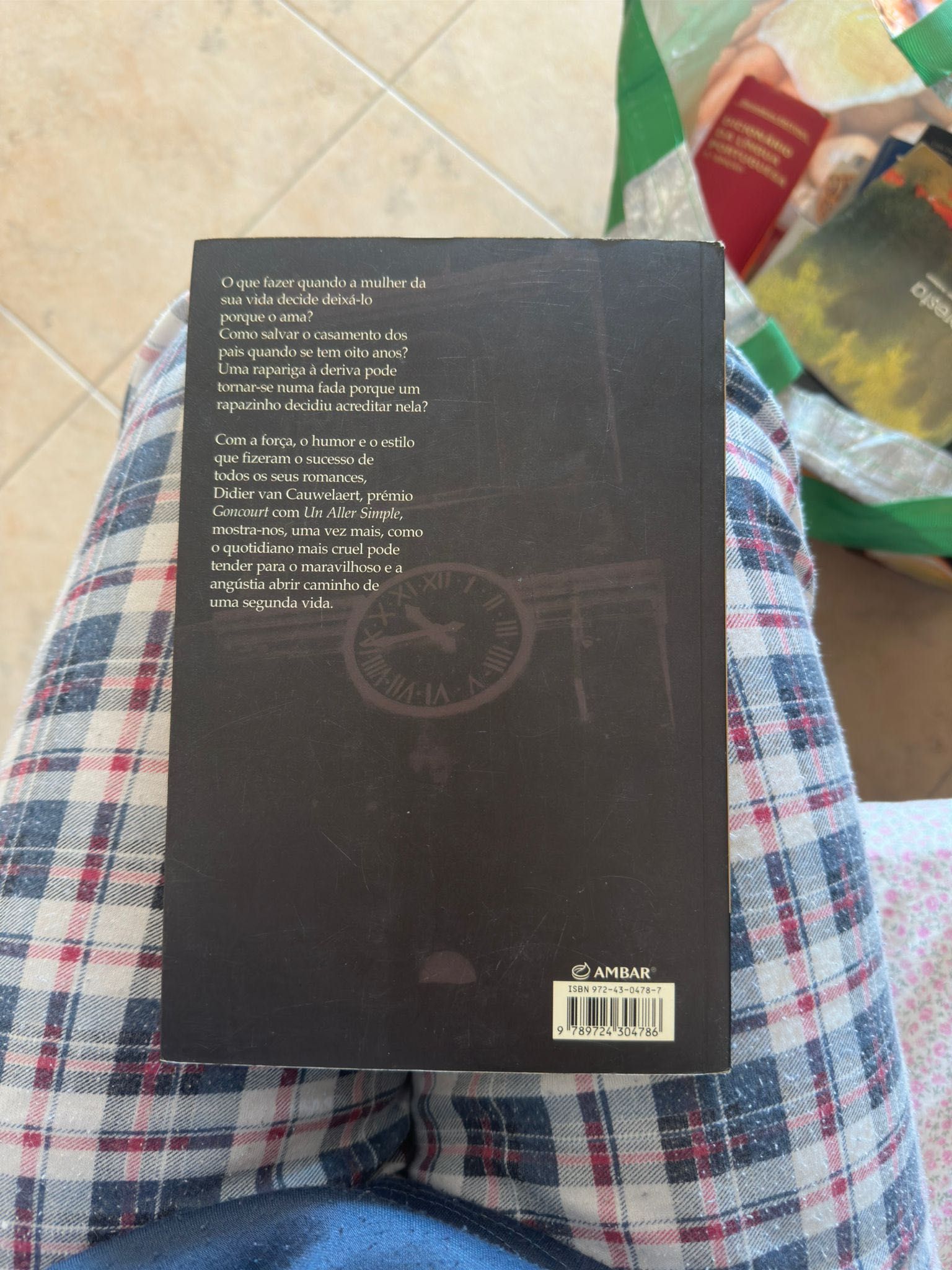 Livro A Educação De Um Fada