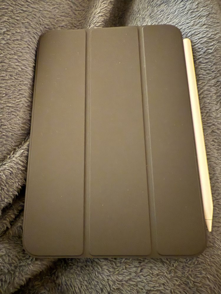 Ipad mini 7 128G 2024 + Apple Pencil pro + Capa