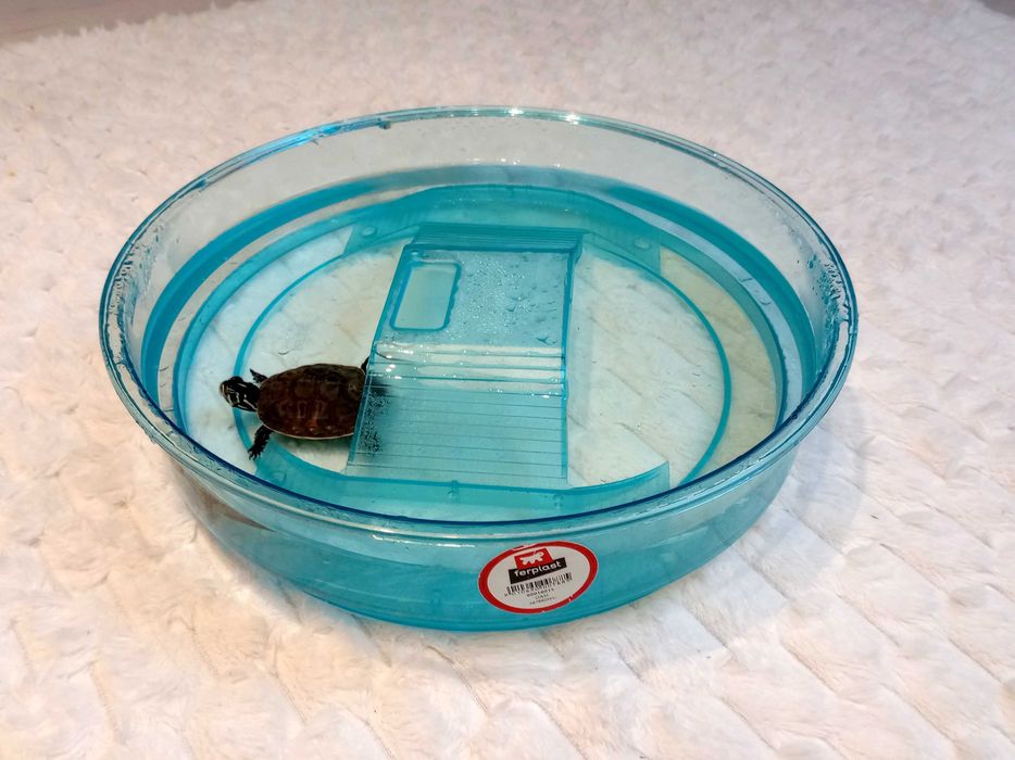 Sprzedam Żółwia Wodno Lądowy Hieroglifowy+ Basen + Karma