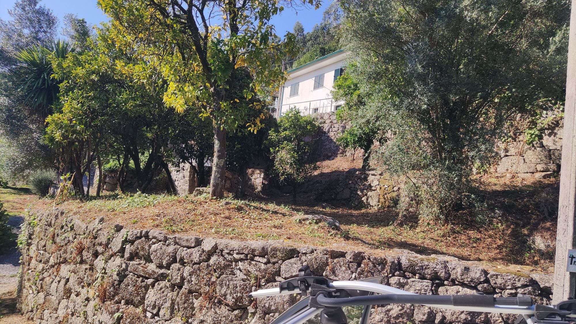 Terreno com duas casas devolutas