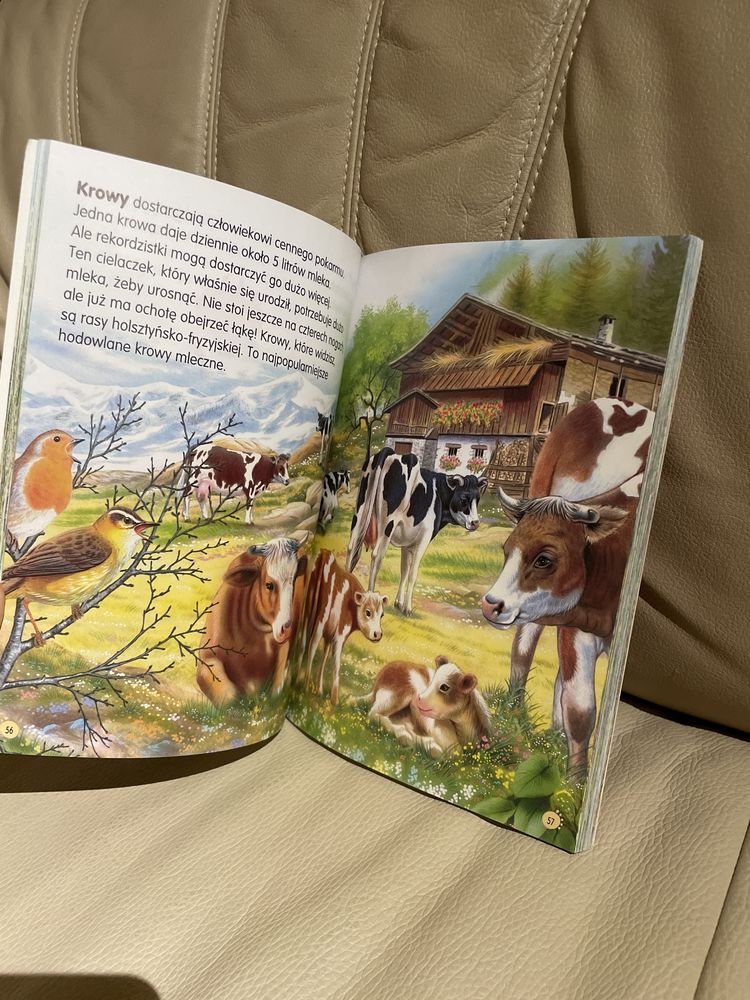 Zwierzęta świata książka dla dzieci Susaeta 184 str