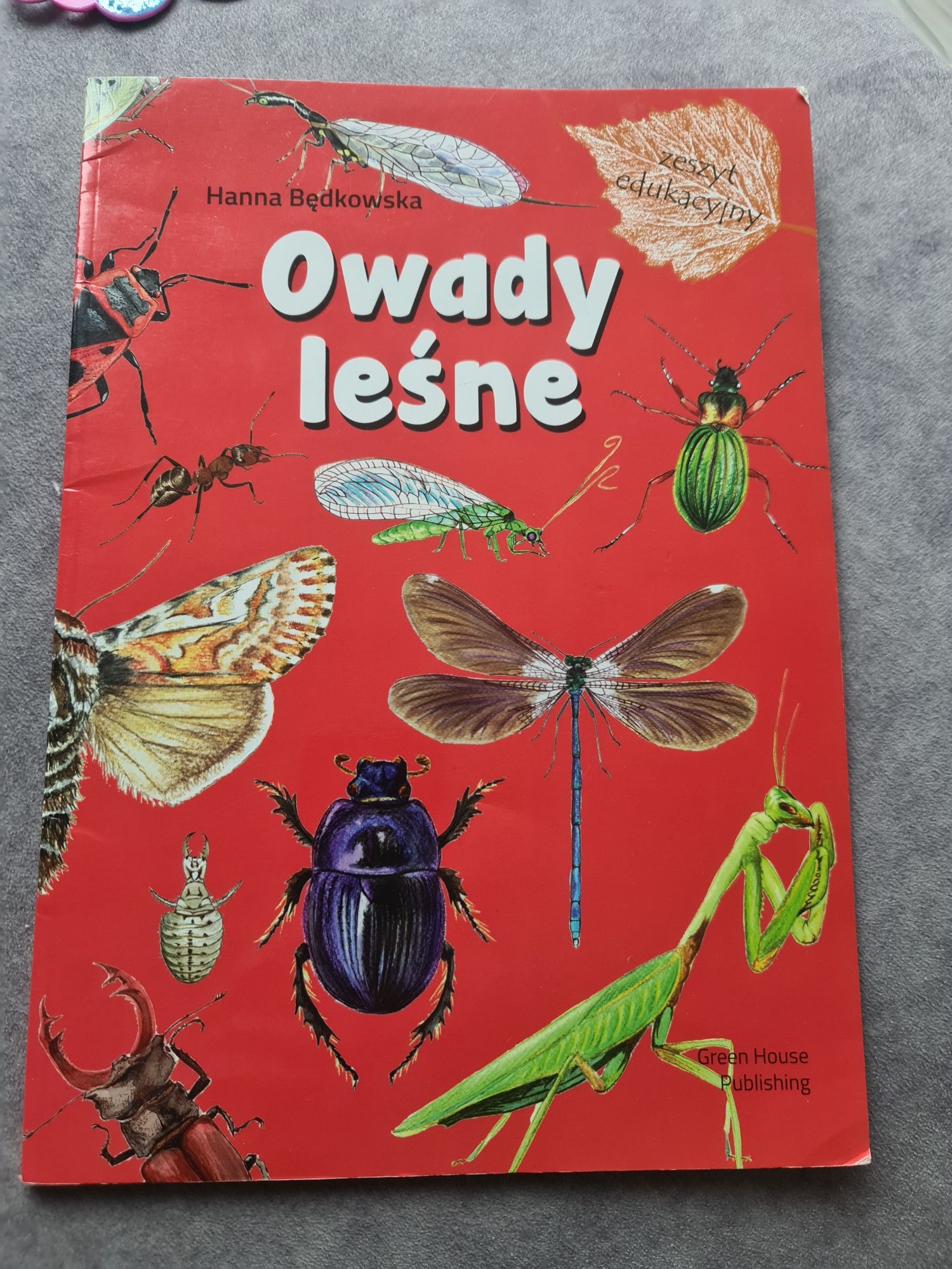 Owady leśne - zeszyt edukacyjny