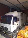 Man LE 12 220 transporte de animais