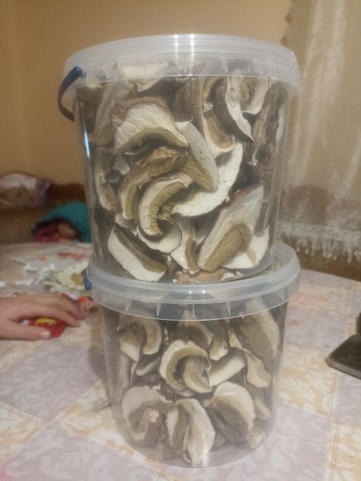 Продам різні смачні гриби