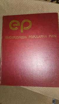 Encyklopedia Popularna PWN