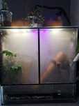 Terrarium tropikalne fogger wodospad basen